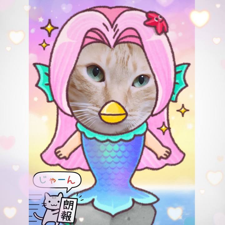 C6c09f05 92a0 4df4 aec6 ff0ce473d7ce 1589409939345