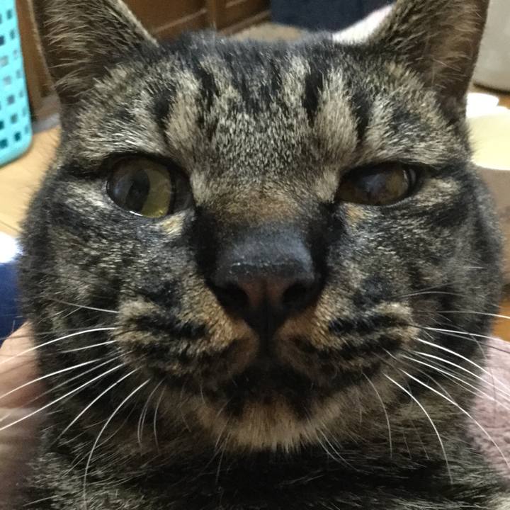 C6c0da7c 81d7 41fa bb33 1e842e31ddb7 1590471612576