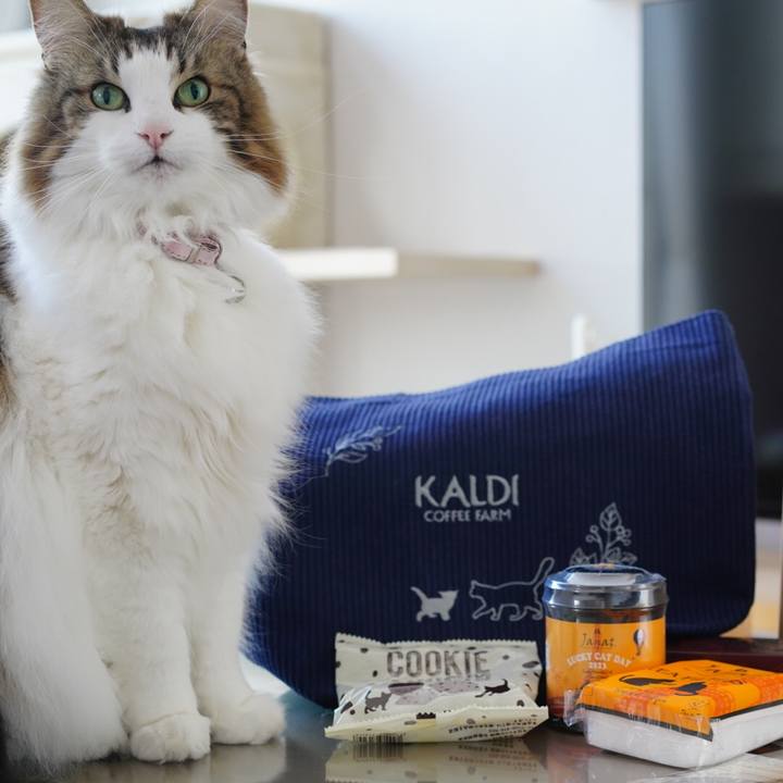 C6c0f890 2e1e 4af4 8af2 c2813f840067 1677128565095