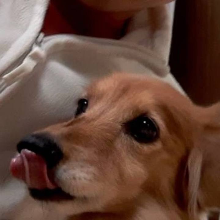 C6c13035 e254 4c75 9dc6 0368a51b3b1a 1638970185531