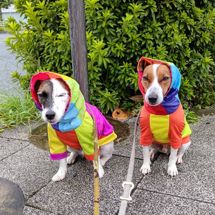 C6c13871 0f01 4ab8 a17d 728110178ffe 1628803927181