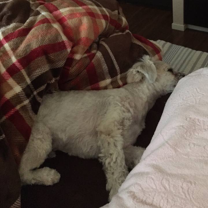 C6c138bf c2ab 472e 9667 b87a88407a86 1516532856629