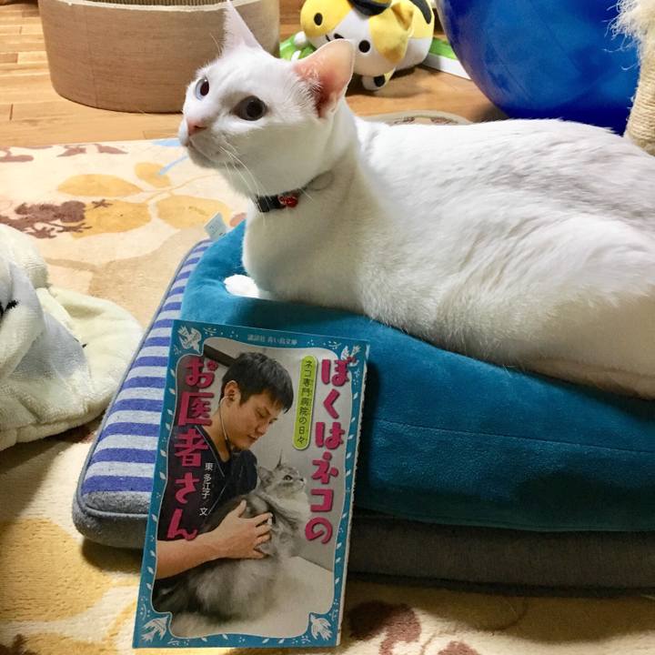 C6c16e5c 1757 497d a705 2d346a4a0327 1521902154009