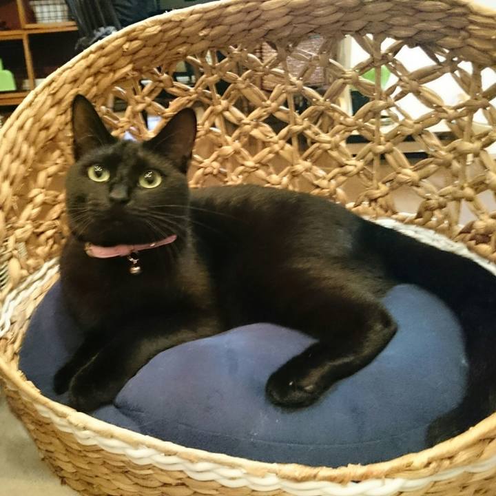 C6c174d9 ac28 4d35 8f11 e796ed139a9f 1524699506967