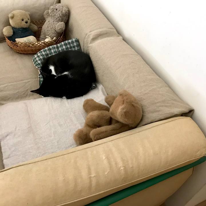 C6c1792d 67aa 4803 9bb2 5be4af926e1e 1531708784690