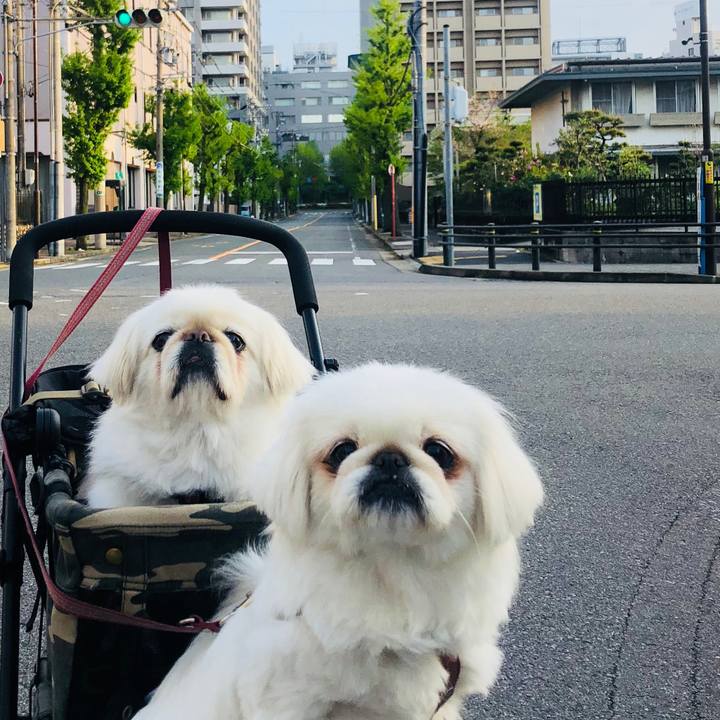 C6c19918 e0d0 48e6 8322 ac94914e6152 1587592900825