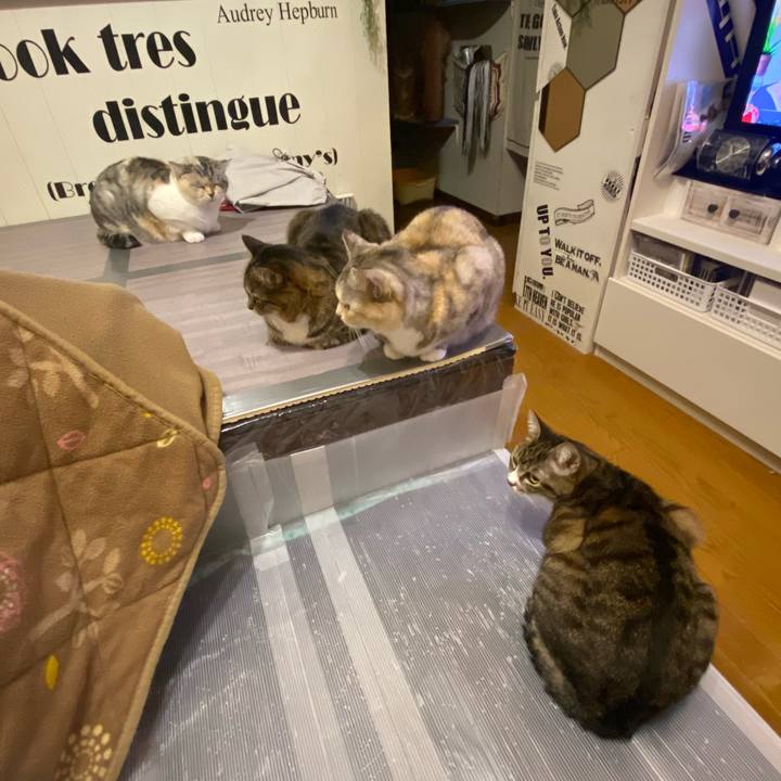 C6c19d8a 56fd 46a6 b1ea bc895a9e9a19 1647254479428