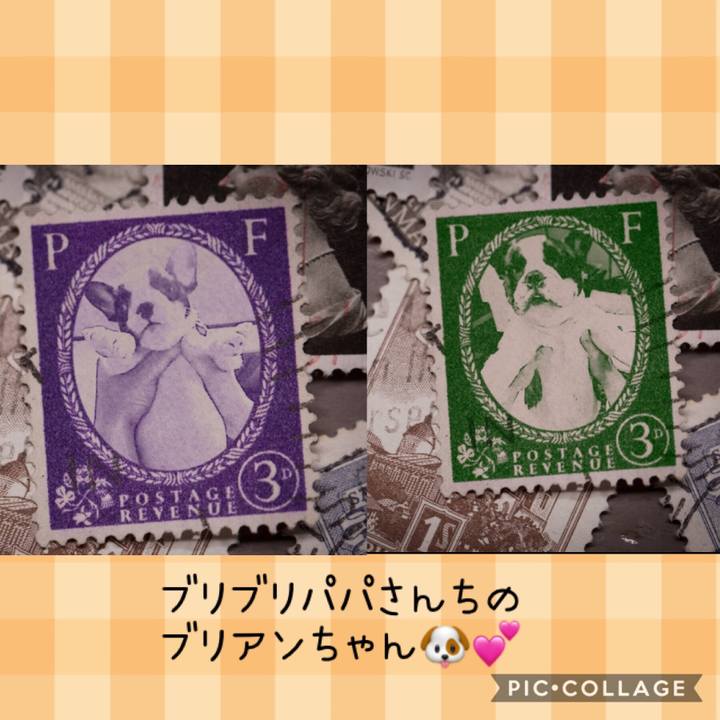 C6c1b5bc 1f98 44b7 bf23 f18d1716ee96 1570094158125