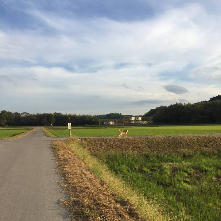 C6c1fd19 6d1e 46be be65 3cc1b5e86425 1539509814681