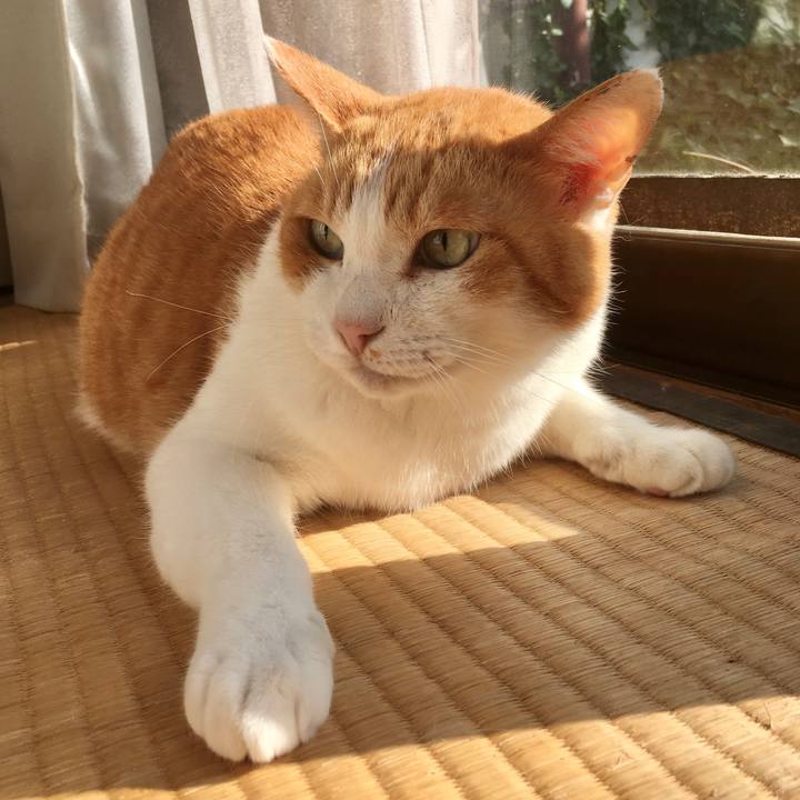 C6c21ac2 323e 4f45 861b 0b5cdee58b34 1570691415027