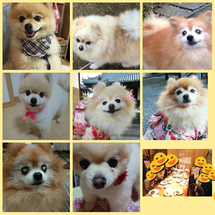 C6c2a5ea 3e18 4ccc bfab 84bd1b18c735 1576363338628