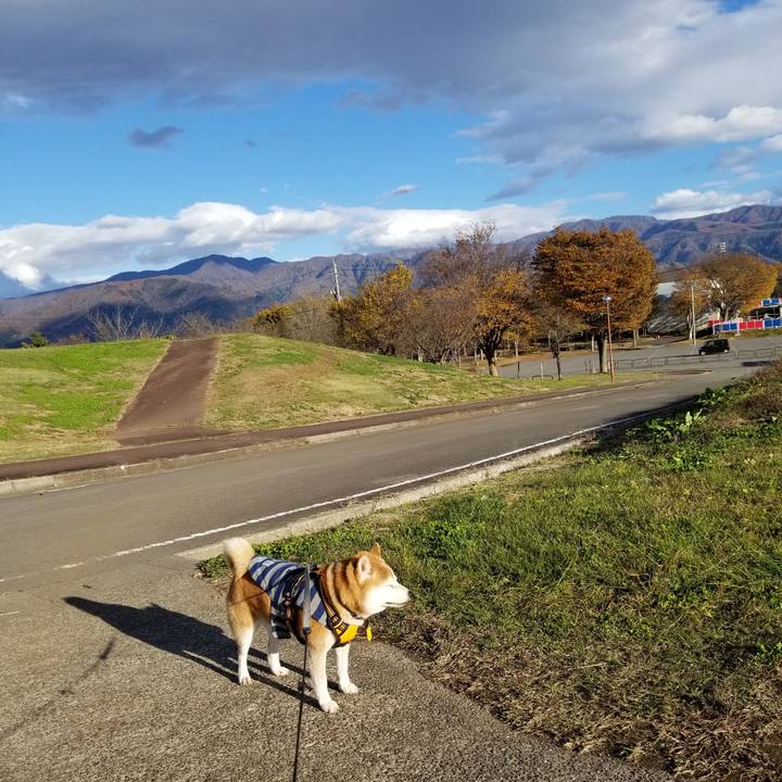 C6c2d393 ac57 49ad b82a 238dd351c4fa 1636524121187