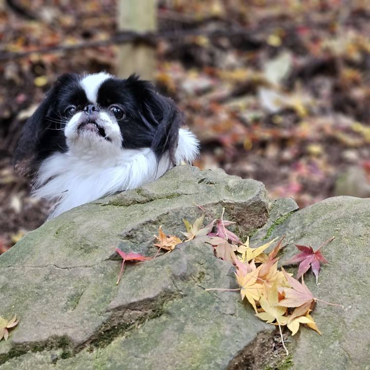 C6c32479 a122 4493 9774 a709d5dc9bbd 1701163667179