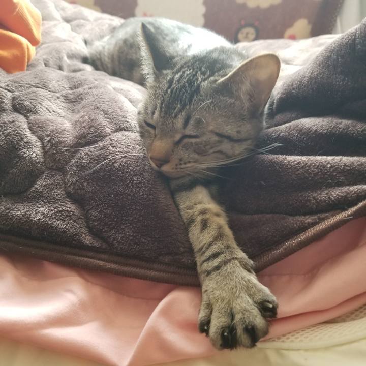 C6c32f51 c241 440e 8632 a6e6c1c95d8a 1678876750700