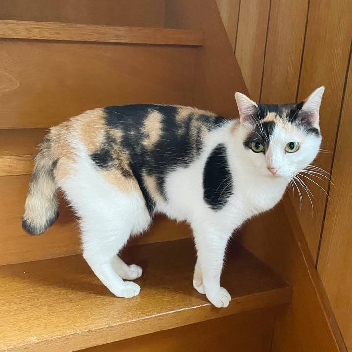 C6c3392b b1c5 44f5 876b 6dde5affb845 1631757712542