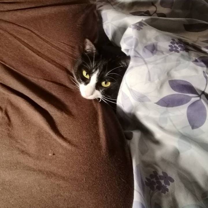 C6c34758 b435 4abc bce4 608f89f13ad8 1573862814595