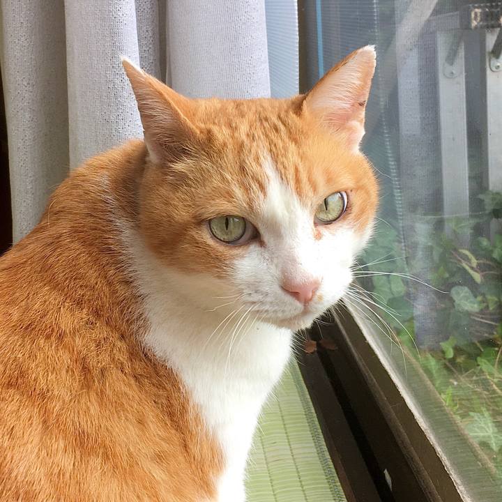 C6c34e2d b1e5 494d aaee 83df0204cc19 1582005953331