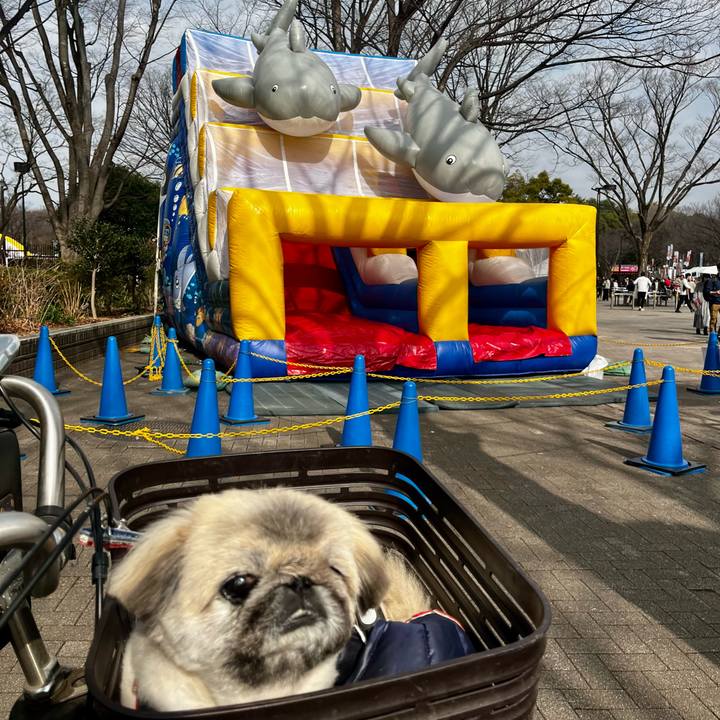 C6c3625a a989 4337 9980 e5b69bda490e 1771812147256