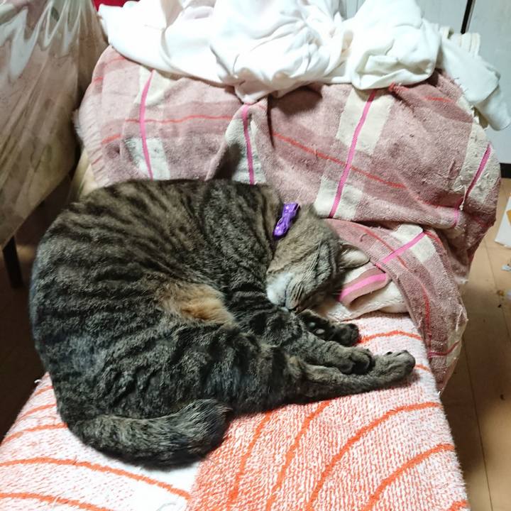 C6c38563 c217 4205 9e91 f959872fa431 1648644345069