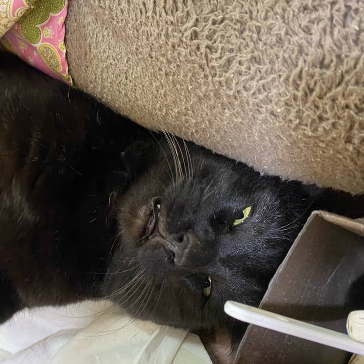 C6c38b43 e164 489f 9112 f3e6d558ce55 1645861315266