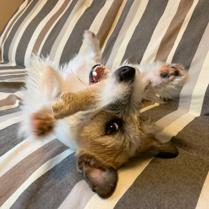 C6c3df3f 60ff 4ca8 adc4 1f6ca8a510b2 1579739692233