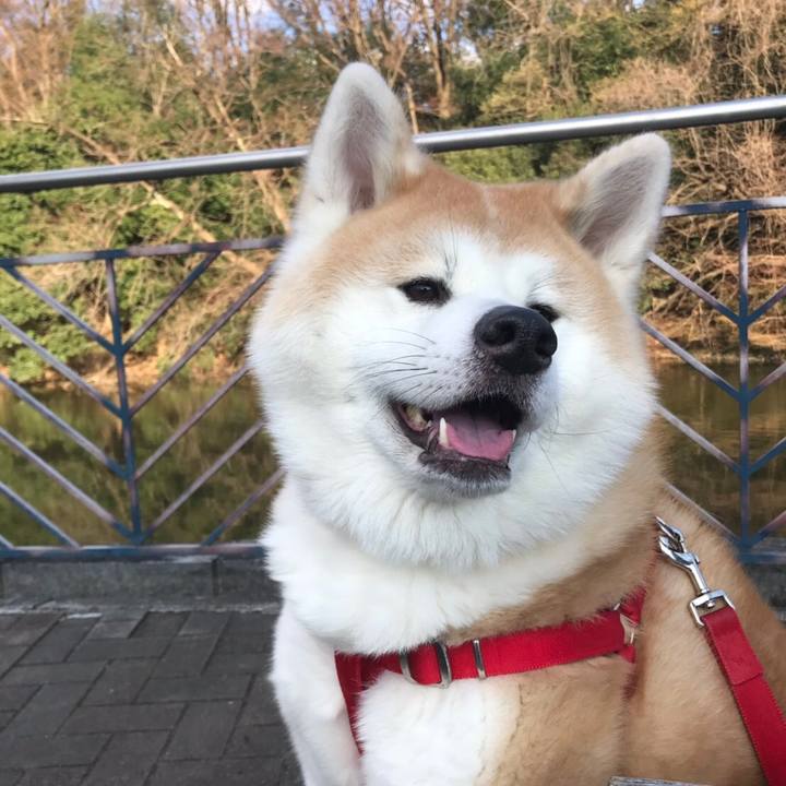 C6c40637 6031 489e afe9 decc8b0716bd 1554037689070