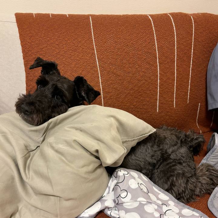 C6c411f3 21ff 4a94 8abf 977fecb78341 1728084720490