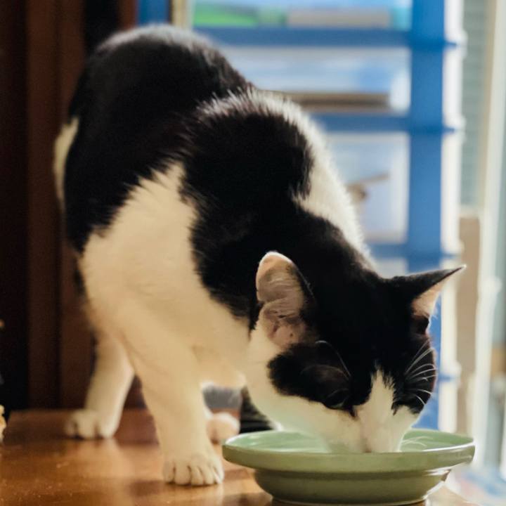 C6c41b3d 59c3 4036 bcdb 914505aebbe1 1658879763192