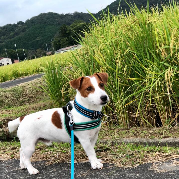 C6c44a8f 681a 4a2e 9b7a 2ddc42b45943 1601176272734