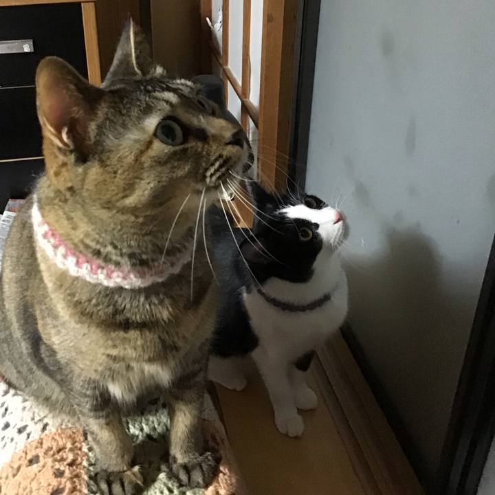 C6c483d2 79bc 4eee a607 6d1a9fb8d2ee 1668338899411