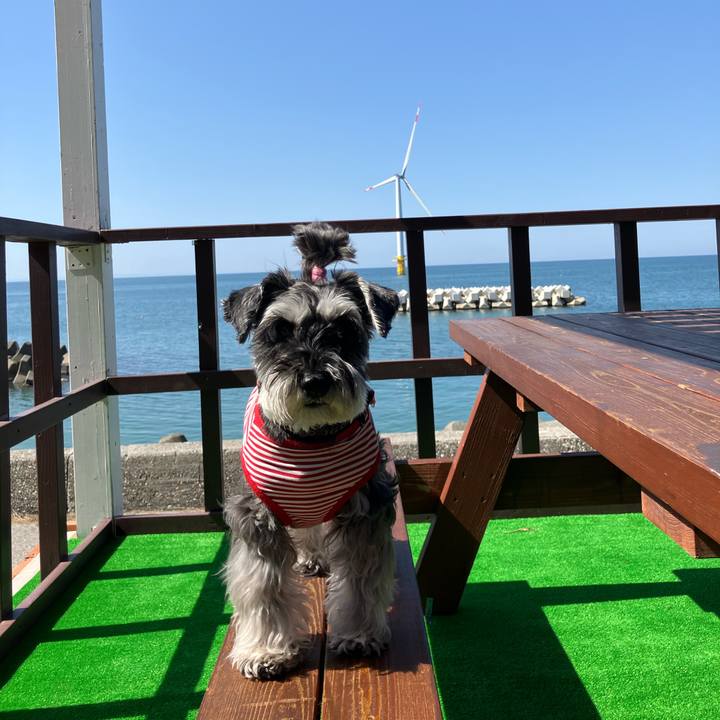 C6c48bb4 03d6 4145 86a7 d5f00c6f4036 1714832964437