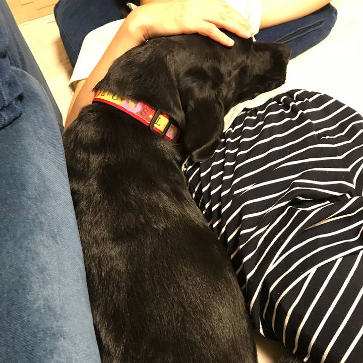 C6c5054d c14a 43d2 bdee c7f19f3108c1 1529916297882