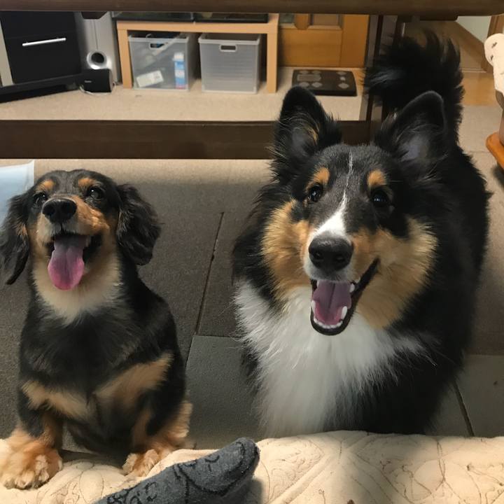 C6c52812 4055 47ab 8209 d61889a54a7c 1534716238416