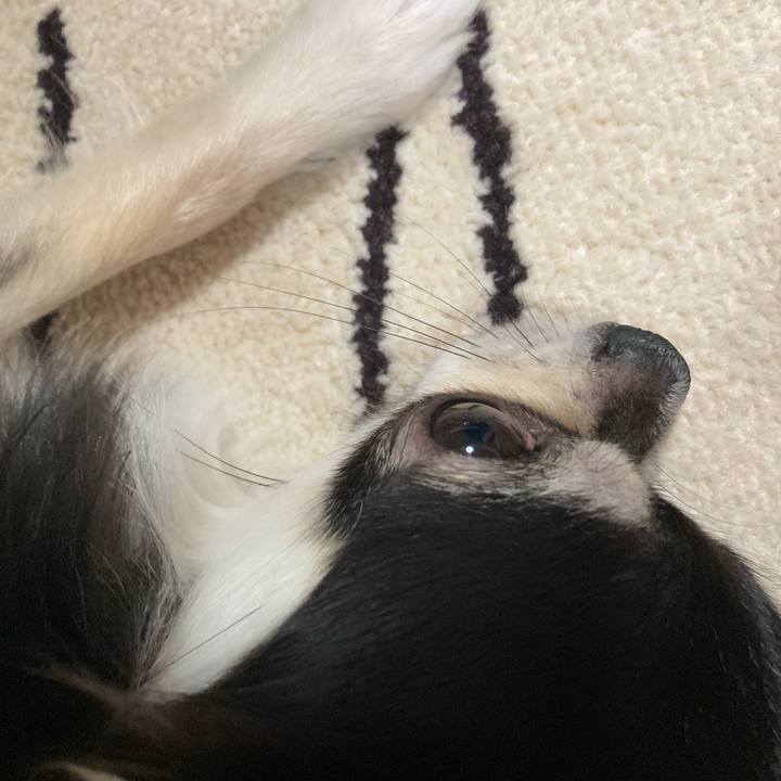 C6c554a3 f4a9 42e2 936e 8c6fa4835ad7 1623589787120