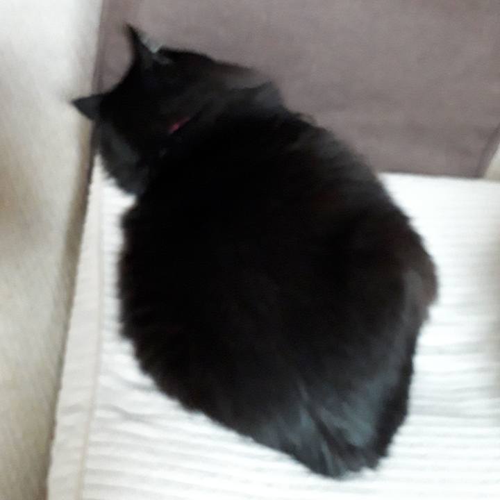 C6c55d14 e7cc 4d90 bced 7c40f1a64a35 1521972015367