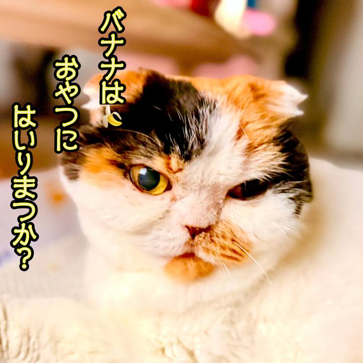 C6c567d0 0520 4fa7 828e e4ef6b0dcfe0 1761949042424