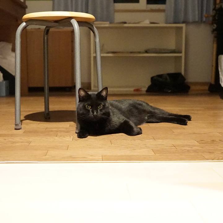 C6c5ae38 78a7 40b5 a761 19d22e2835fc 1560814909857