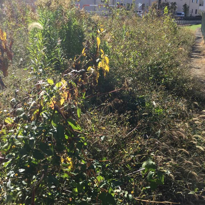 C6c5c866 9fbc 4765 8135 47f5cf2a4c55 1606538516361