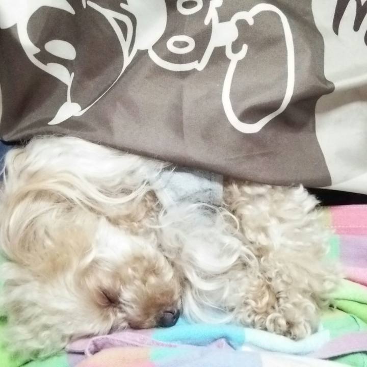 C6c61e55 41f9 48a4 ab58 c16ffa79f906 1540366005307