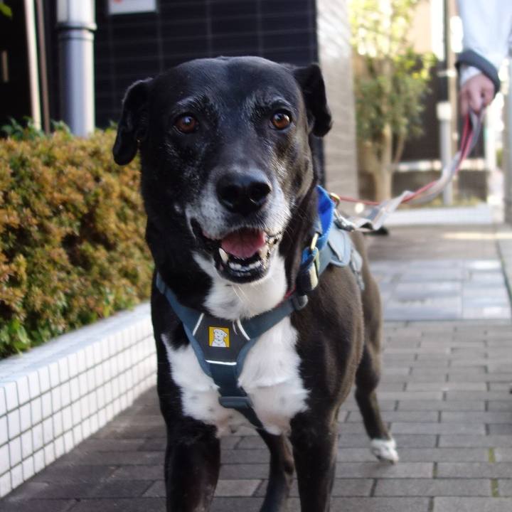 C6c62a3a 5c83 4015 ac56 3ba09ab69eb9 1741825605908