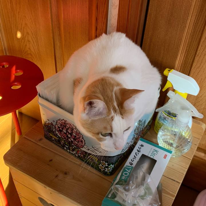 C6c64887 86f6 428f 83b0 995b1146d6cd 1582416672968