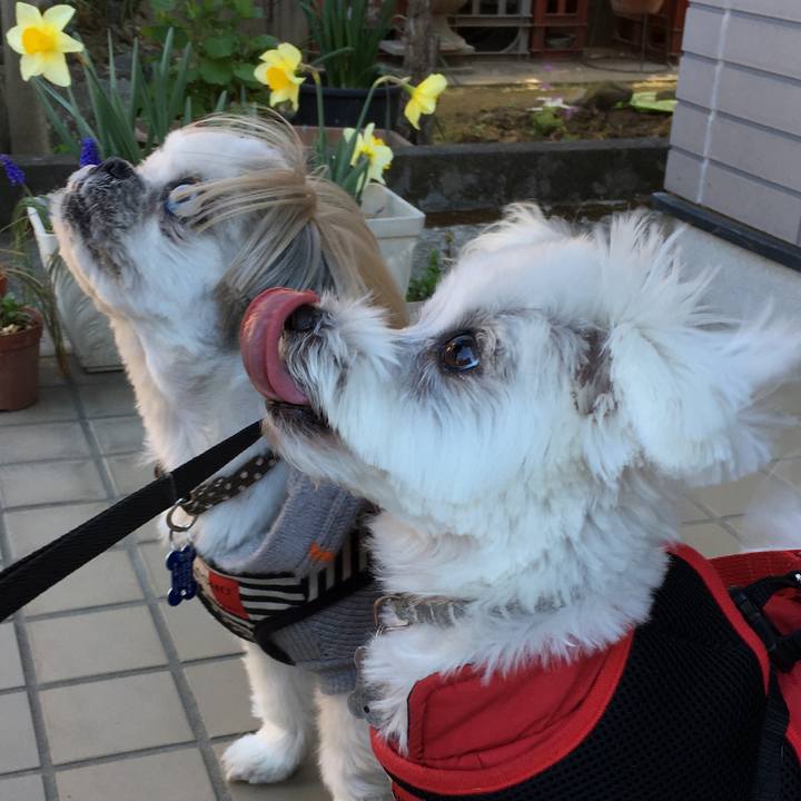 C6c65487 5706 4dd9 962a 23548b1ec1c1 1553407172812