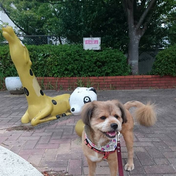 C6c6a6ac b056 4abf 98d6 7f0b5544b465 1536060000359