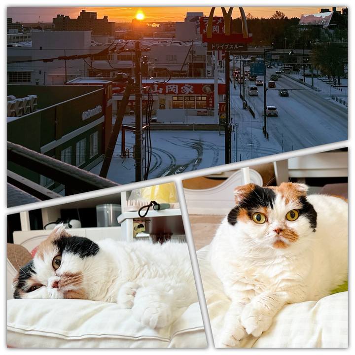 C6c6b111 0750 4a26 bc06 41b81e10badf 1731966709890