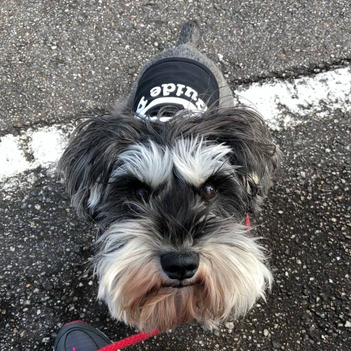 C6c6bb94 d8e2 4808 8bc0 49a616747e18 1549118647843