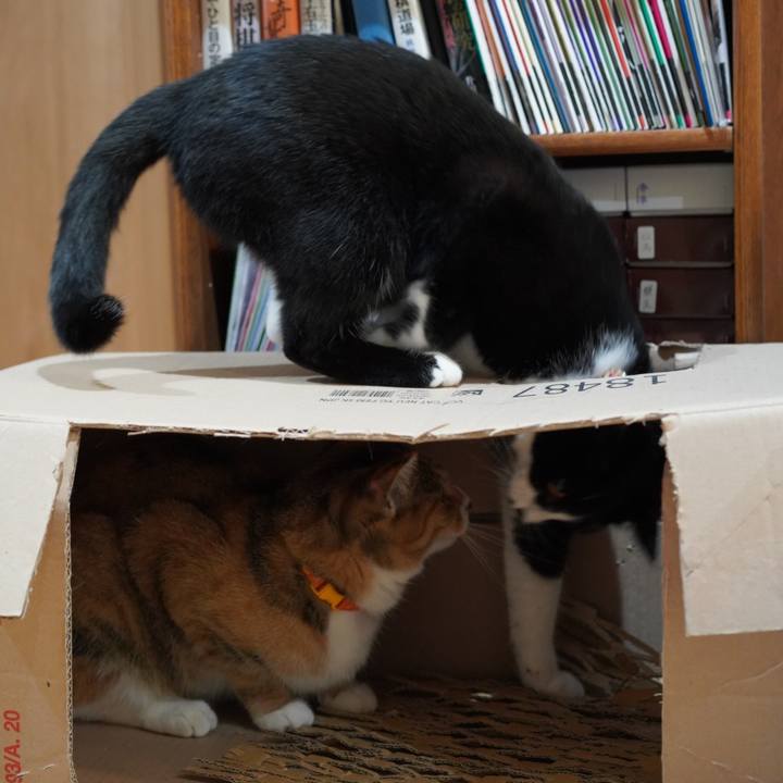 C6c6ca64 5d7e 473d bc32 afbe47197f04 1623674225086