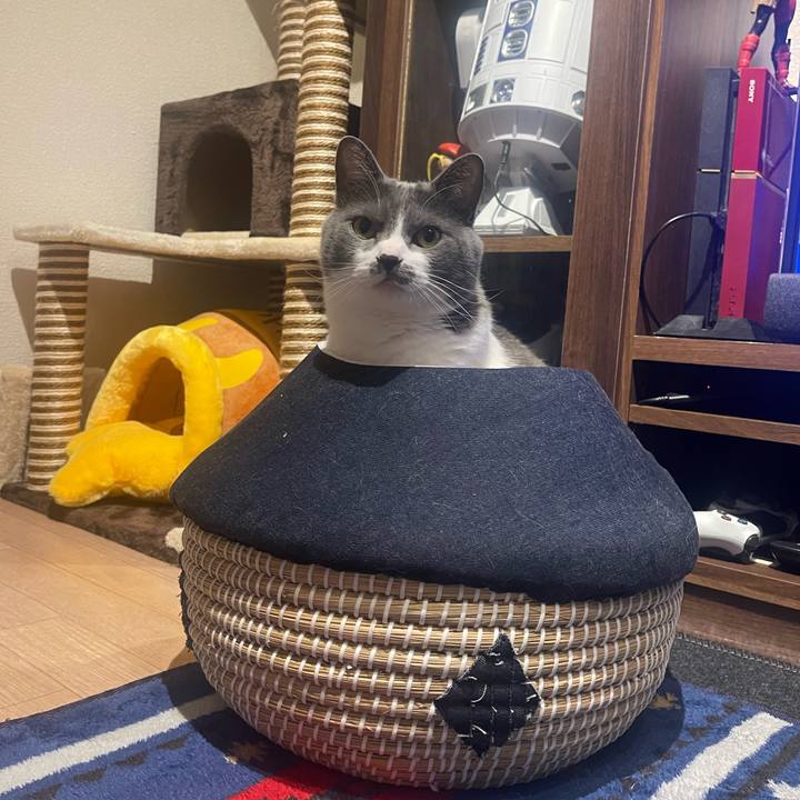 C6c6ee35 72ae 4d7a b649 e4030943af4e 1681140841023