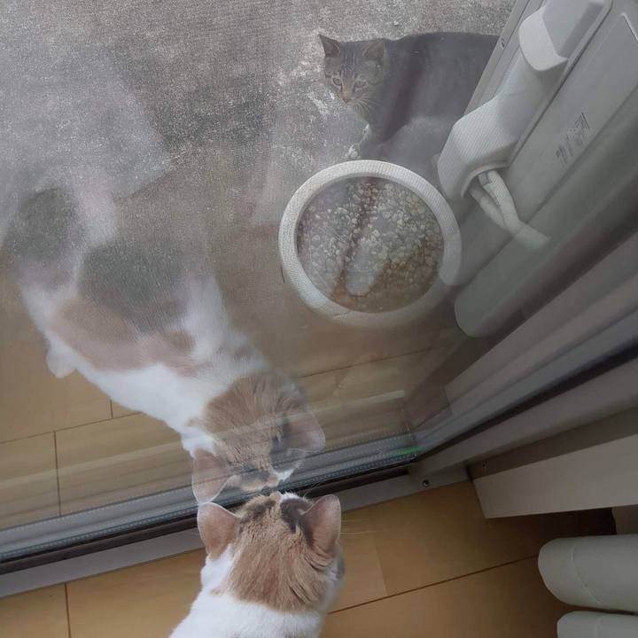 C6c6ff9d 8309 41e9 9fe5 64cb976006d7 1683001886639