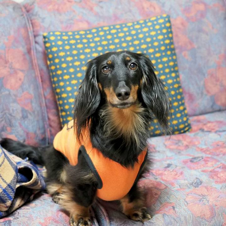 C6c72229 97ec 451b 8caf fa0a802c900a 1555469884427