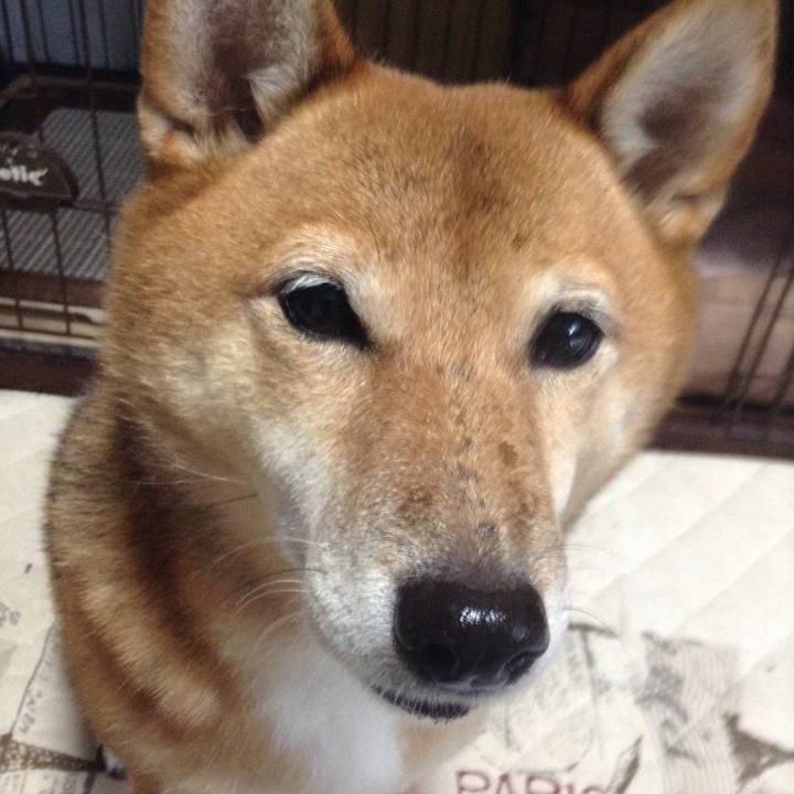 C6c73f1f 55e7 4d96 9ea4 03730a3be5a7 1508366575226